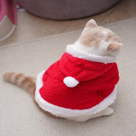 고양이 빨간 산타옷 코스프레 강아지크리스마스옷 망토